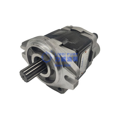 Od 1956 roku Hewei Brand Forklift Parts Pompa hydrauliczna 91E71-10200 69101-FK281