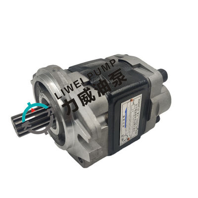LIWEI Forklift Hydraulic Pump 91E71-10200 for FD20-30(F18C/CF18C/F14E/CF14E)/S4S