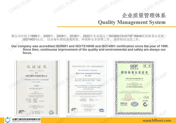 Chiny Hefei Liwei Automobile Oil Pump Co., Ltd Certyfikaty